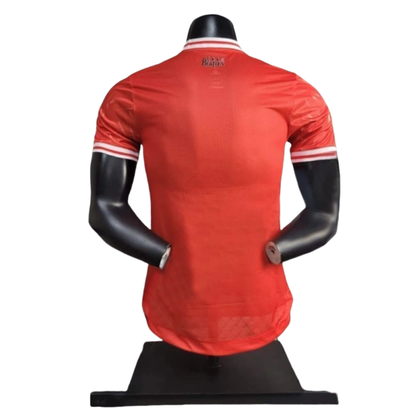 24-25 Player Version Liverpool Joint Edition Football Shirt - Image 2
